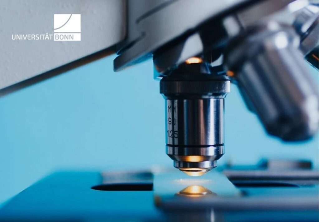 Apply now to the NeurotechEU Summer Internship Program